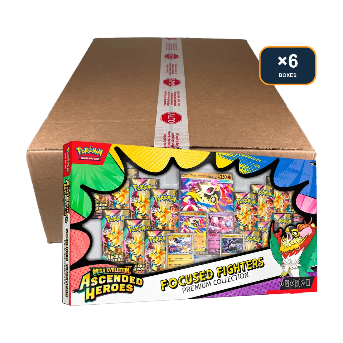 Ascended Heroes Focused Fighters Premium Collection Case